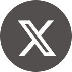 X Icon